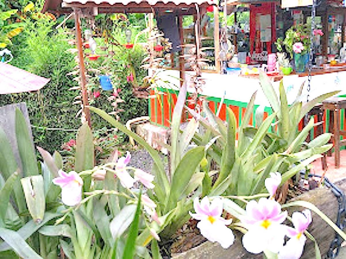 Hostal Estrella De Agua 萨兰托 外观 照片