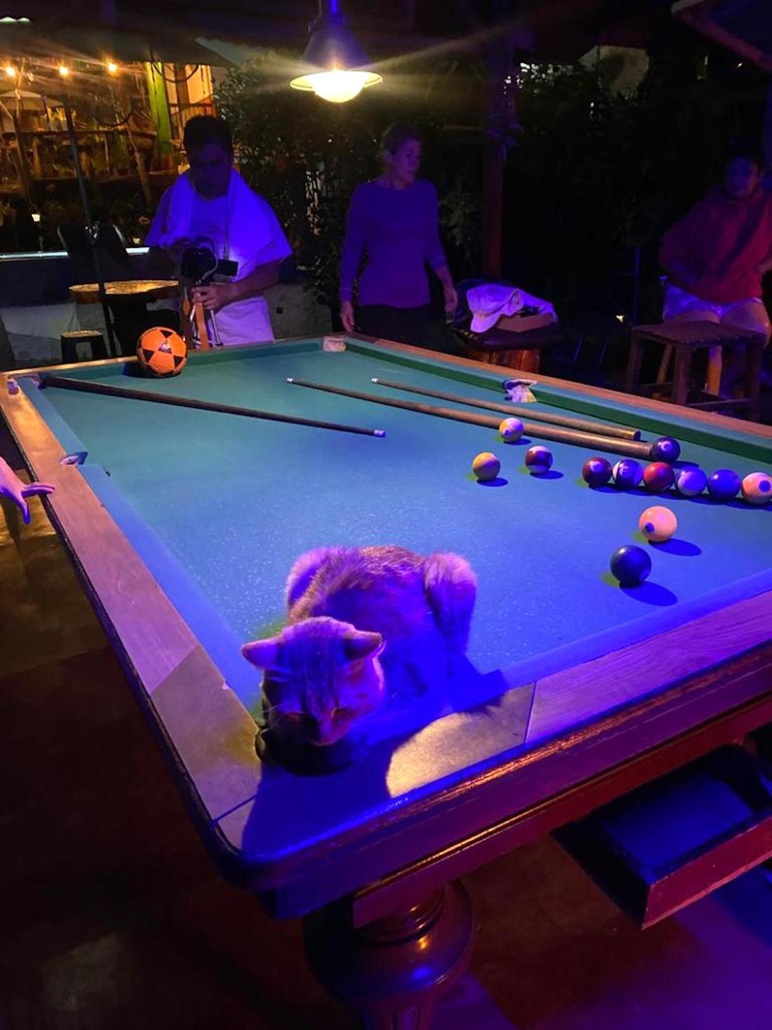 Hostal Estrella De Agua 萨兰托 外观 照片
