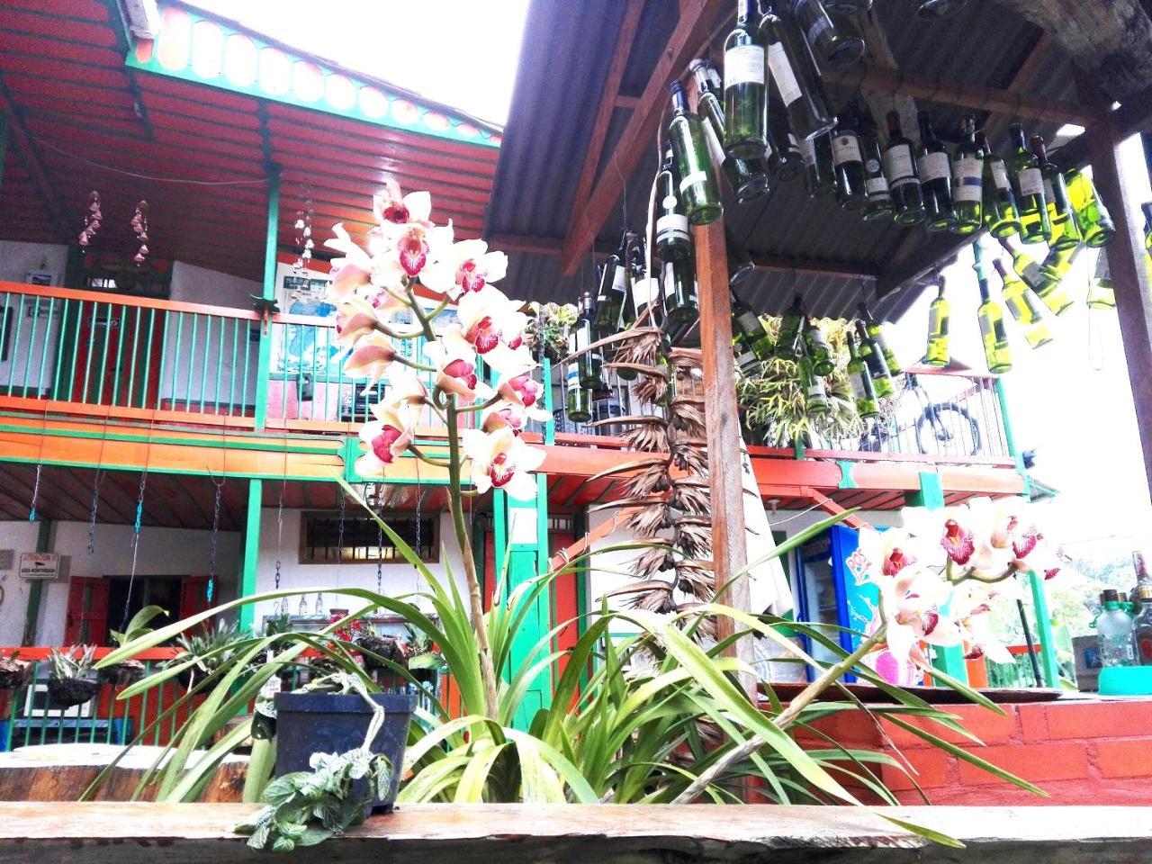 Hostal Estrella De Agua 萨兰托 外观 照片